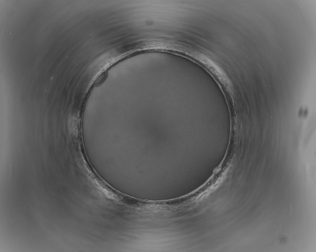 X0000094060993200711091124