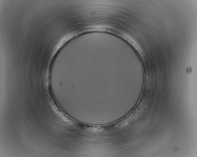 X0000094060994200711091124