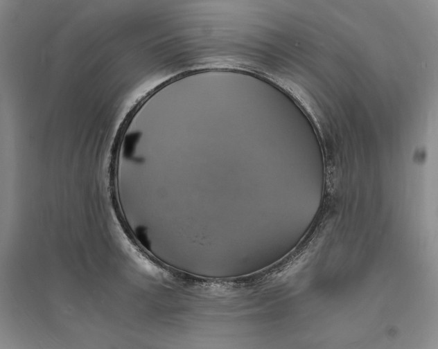 X0000094060995200711091124