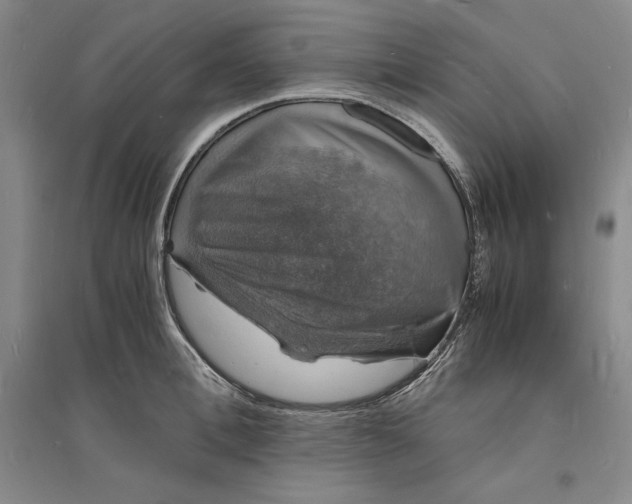 X0000094060996200711091124