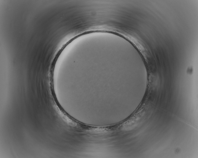 X0000094060998200711091124