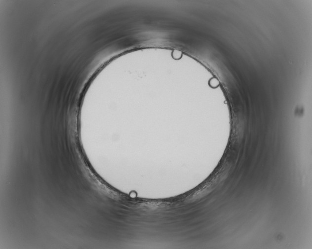 X0000094061000200711091124