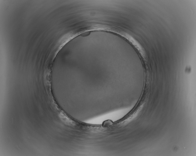 X0000094061001200711091124