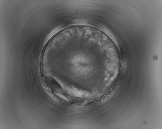 X0000094061002200711091124
