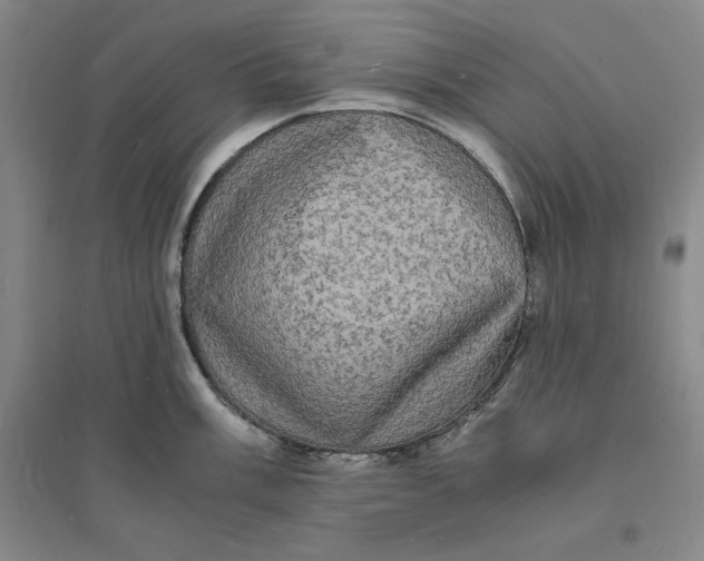 X0000094061003200711091124