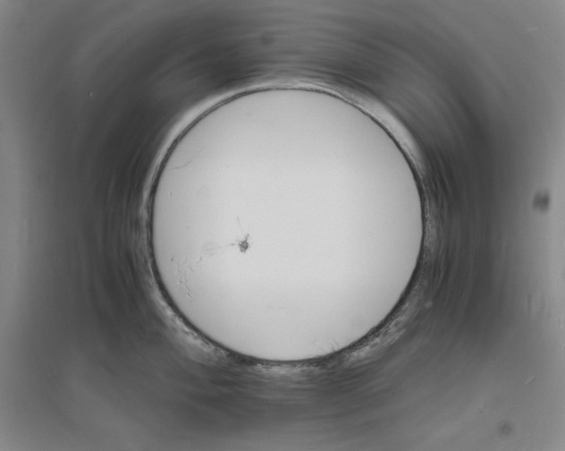 X0000094061004200711091124