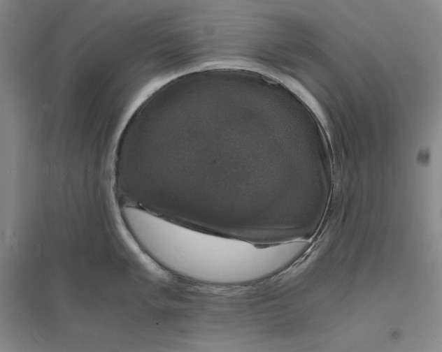 X0000094061005200711091124