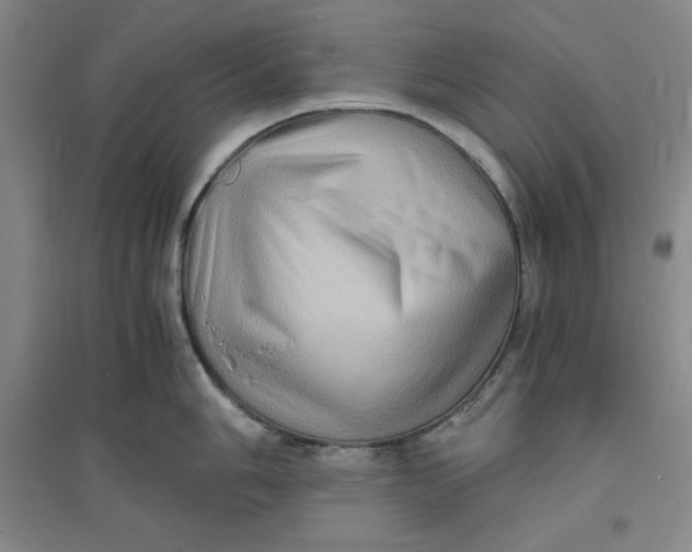 X0000094061006200711091124