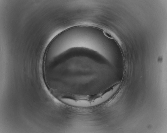 X0000094061007200711091124