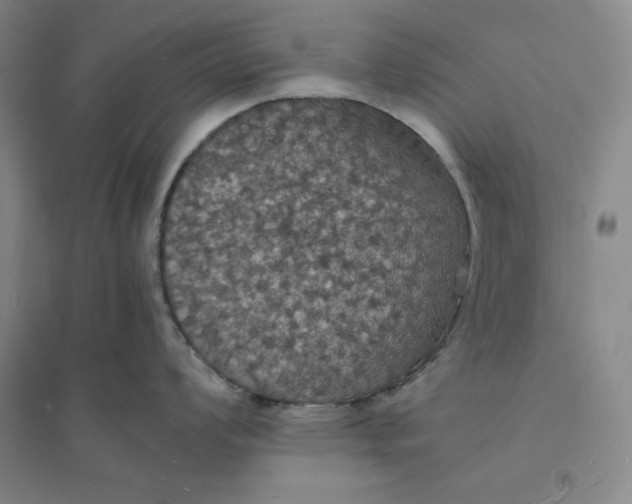 X0000094061008200711091124