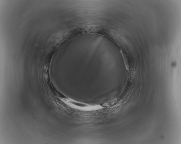 X0000094061010200711091123