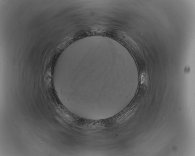 X0000094061011200711091123