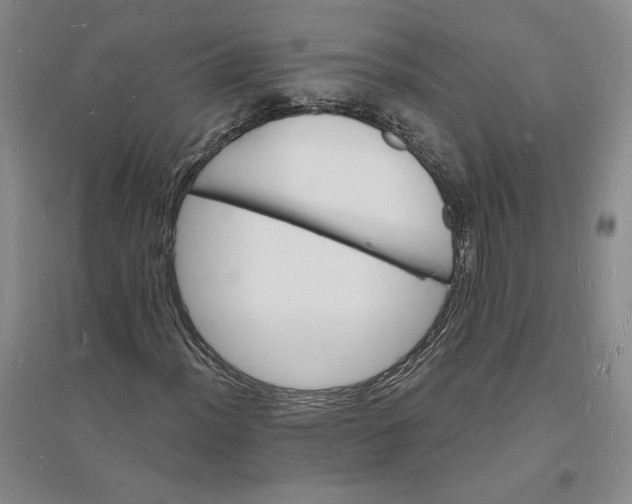 X0000094061012200711091123