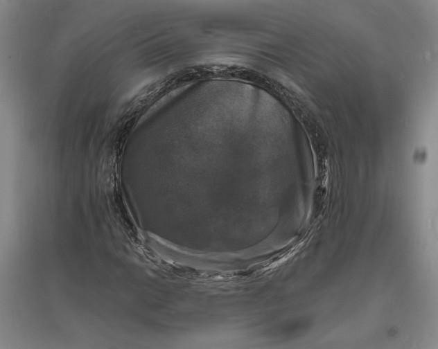 X0000094061014200711091123
