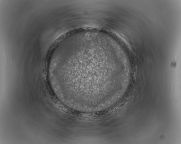 X0000094061015200711091123