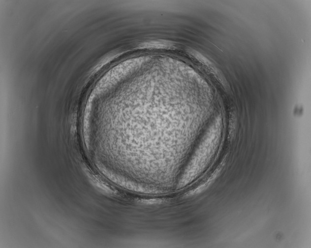 X0000094061017200711091123
