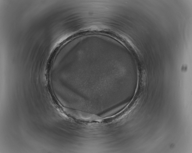 X0000094061018200711091123