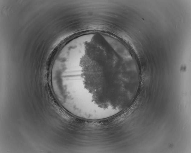 X0000094061019200711091123