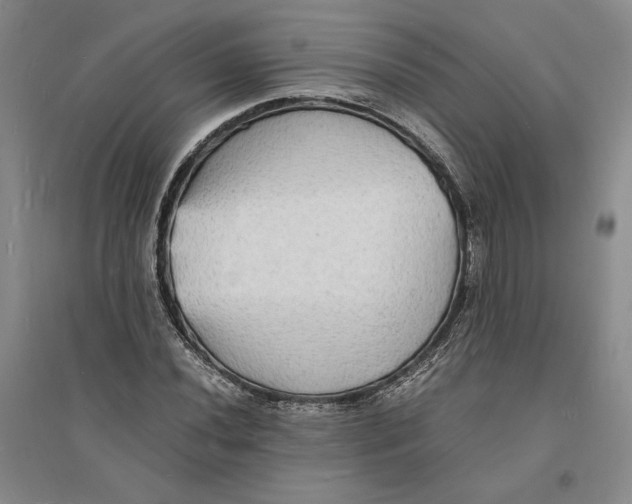 X0000094061020200711091123