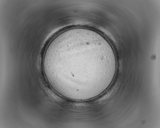 X0000094061021200711091123