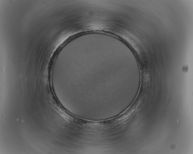 X0000094061023200711091123