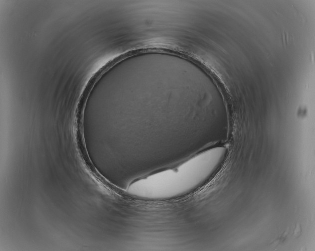 X0000094061024200711091123
