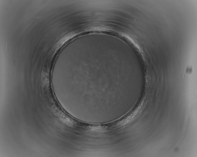 X0000094061025200711091123