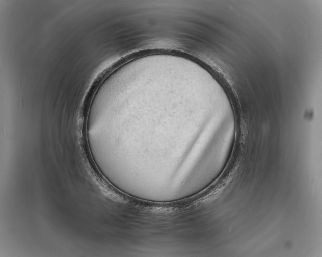 X0000094061029200711091123