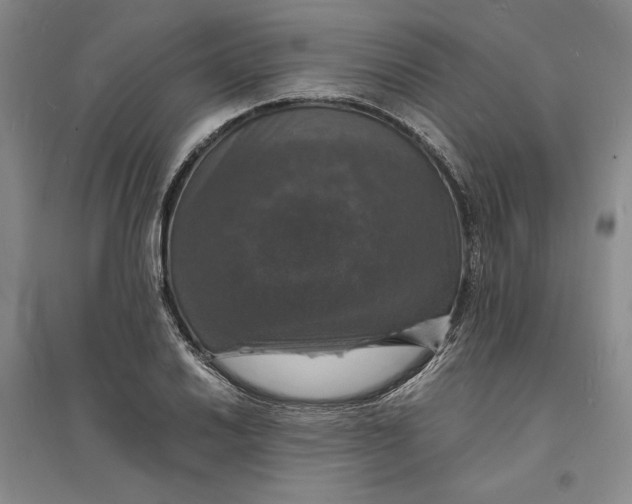 X0000094061030200711091123