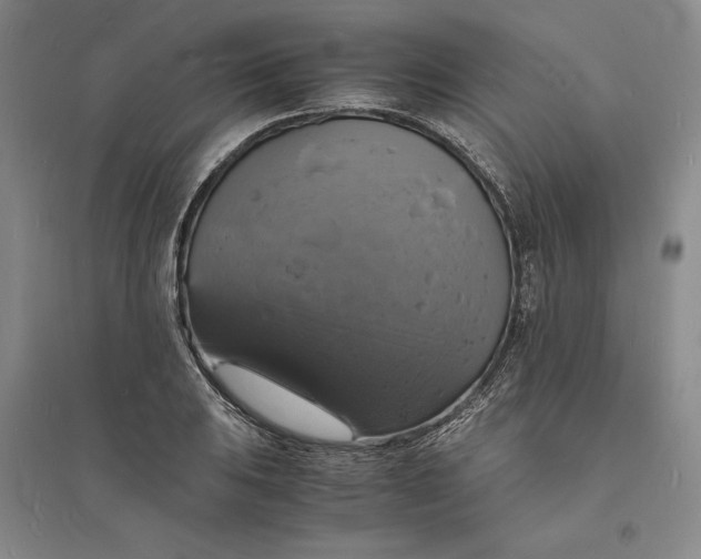 X0000094061031200711091123