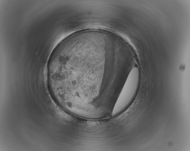 X0000094061032200711091123