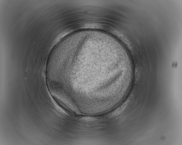 X0000094061033200711091123