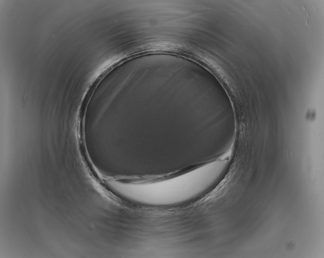 X0000094061034200711091123