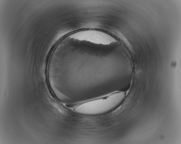 X0000094061035200711091123