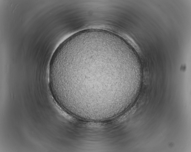 X0000094061036200711091123