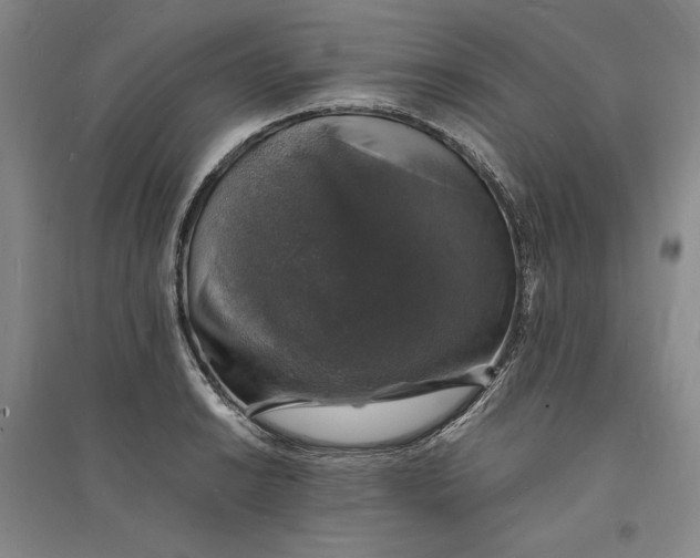 X0000094061038200711091123