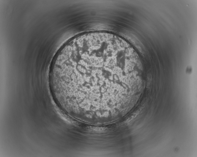 X0000094061039200711091123