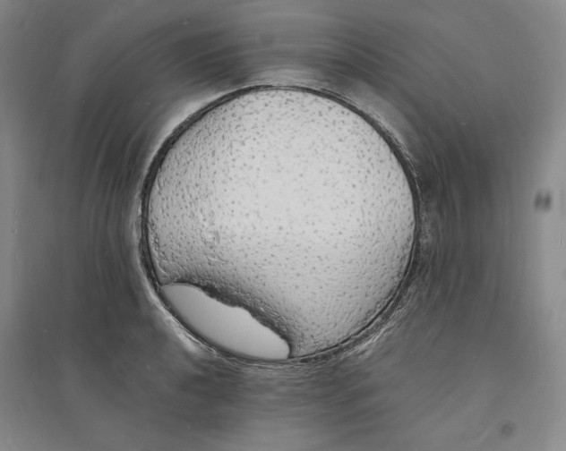 X0000094061040200711091123