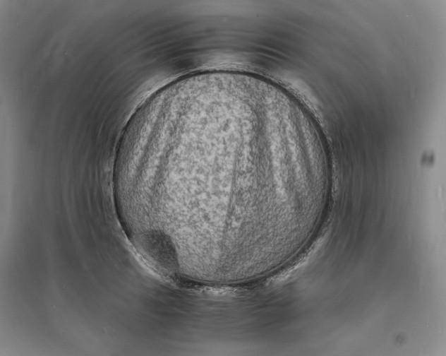 X0000094061041200711091123