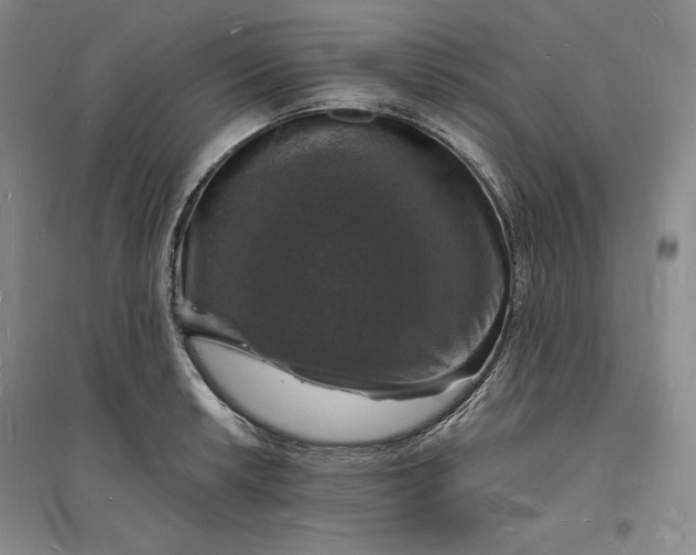 X0000094061042200711091123