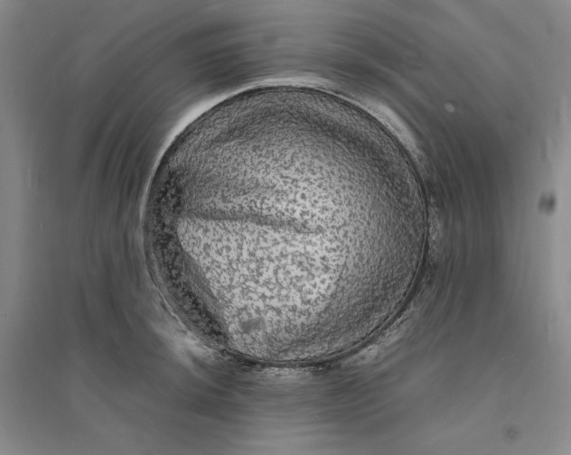 X0000094061044200711091123