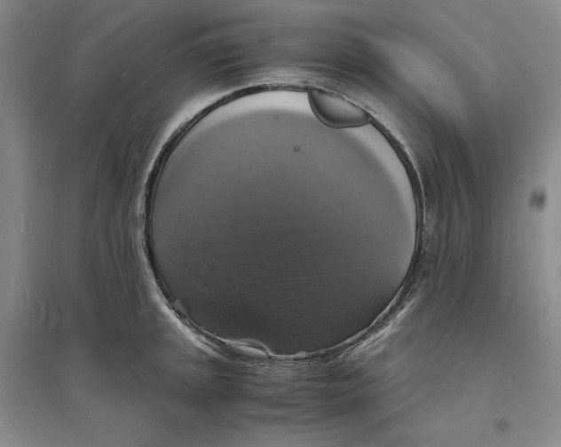 X0000094061045200711091123
