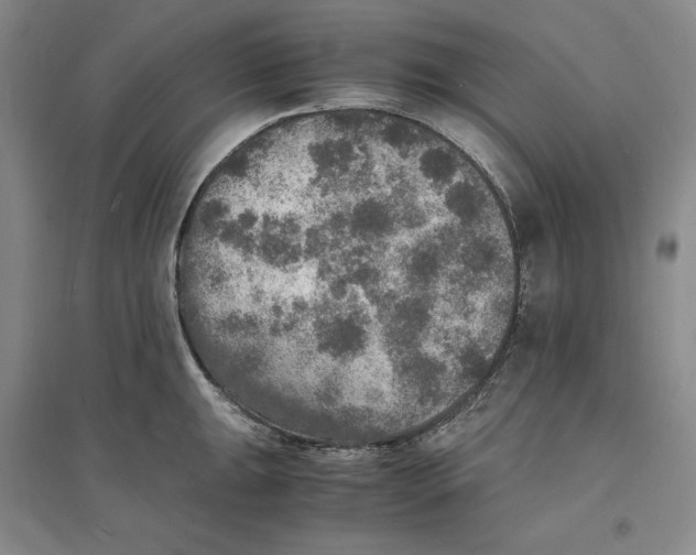 X0000094061047200711091123
