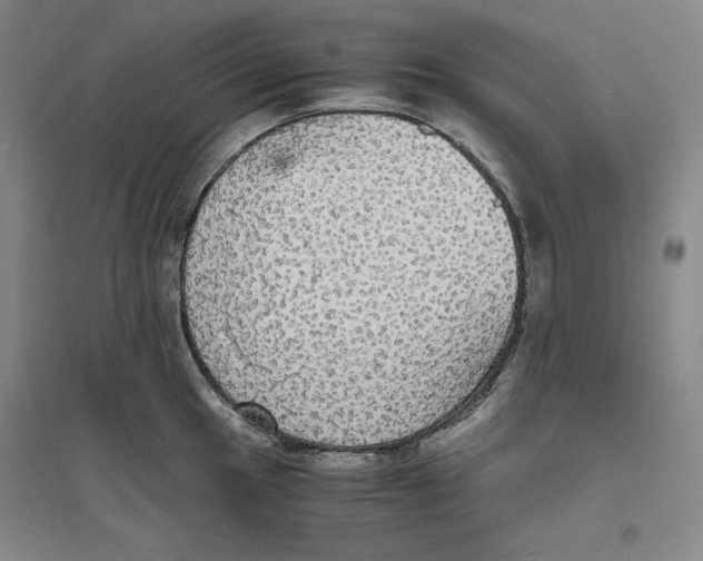 X0000094061049200711091123