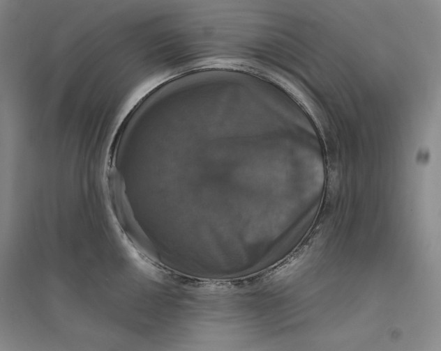 X0000094061050200711091124