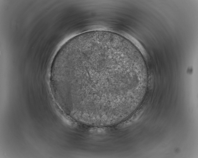 X0000094061051200711091124