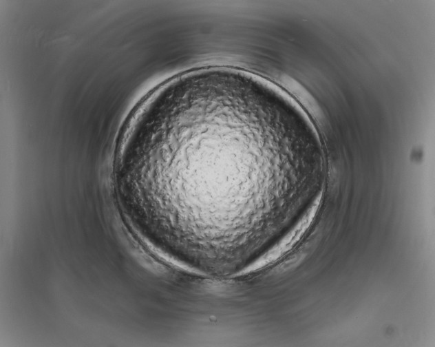 X0000094061052200711091124