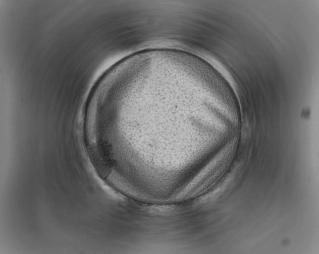 X0000094061053200711091124