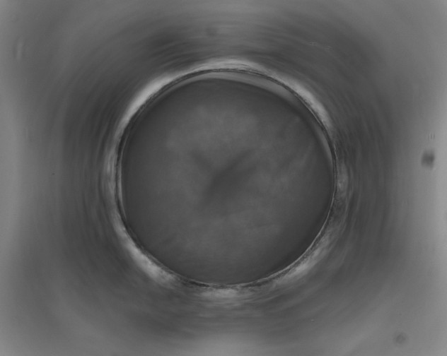 X0000094061054200711091124