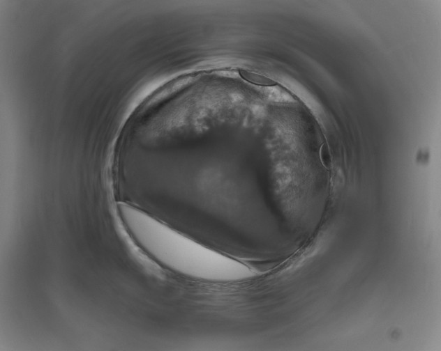 X0000094061055200711091124